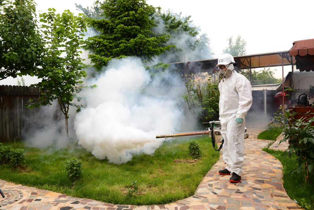 Operator Compania DDD în combinezon alb face nebulizare termică în curtea unei case, cu un nor de ceață insecticidă peste gazon