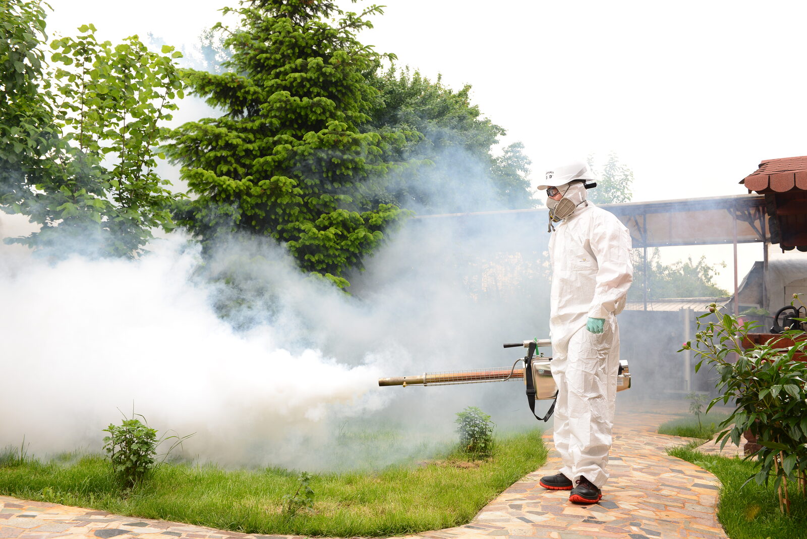 Tehnician Compania DDD în combinezon de protecție aplică fogging termic împotriva țânțarilor pe un gazon