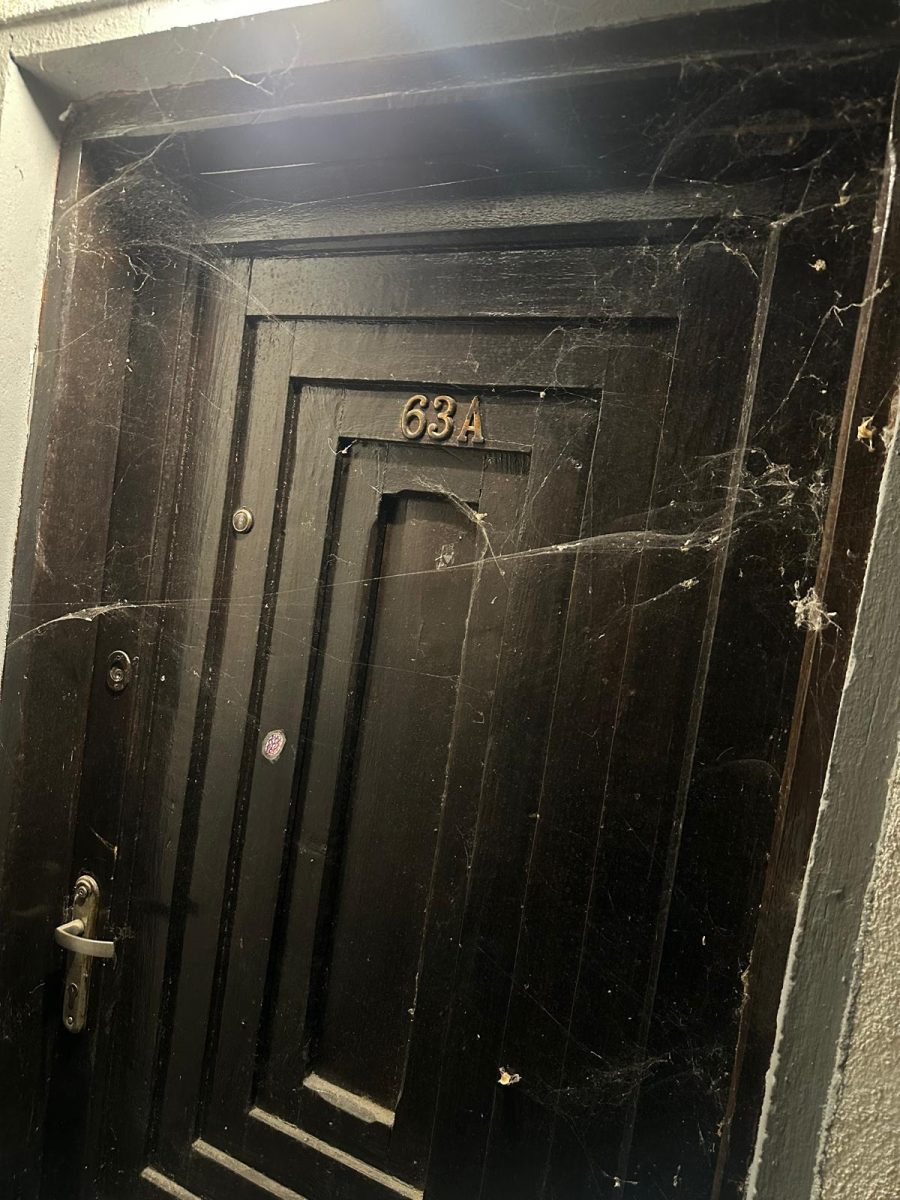 Pânze de păianjen acumulate în tocul unei uși de intrare
